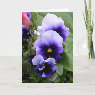 Lila Pansies Kort