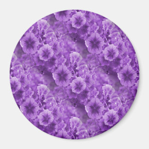Lila Pansies.. Magnet