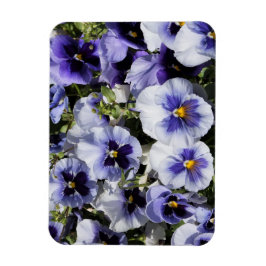 Lila Pansies Magnet