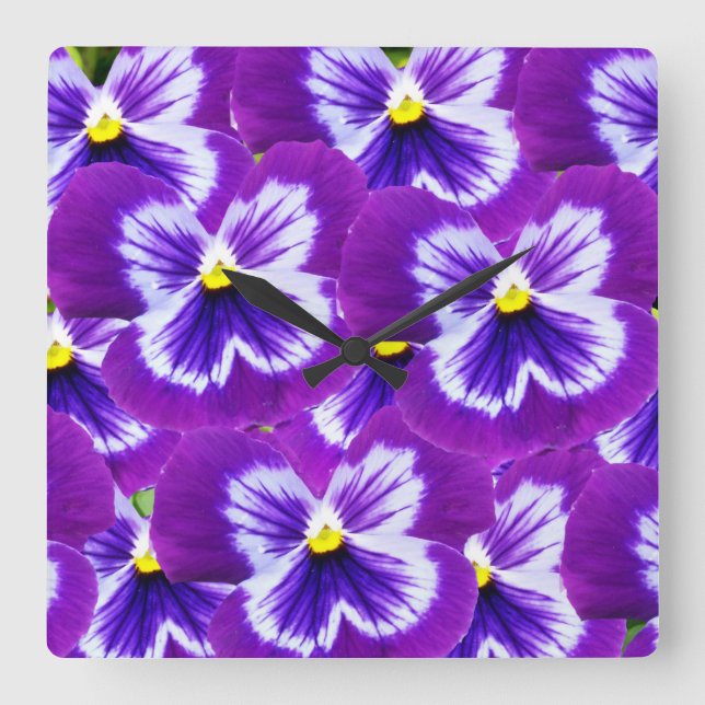 Lila Pansies med fjäril som Petals. Fyrkantig Klocka (Framsida)
