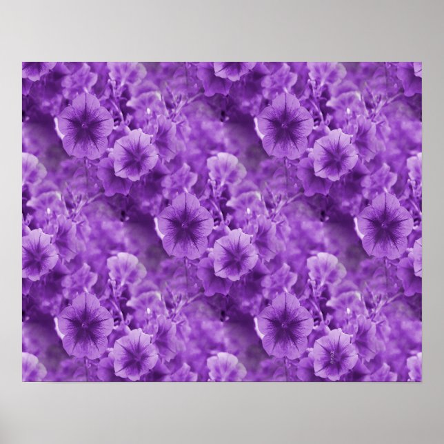 Lila Pansies.. Poster (Framsidan)