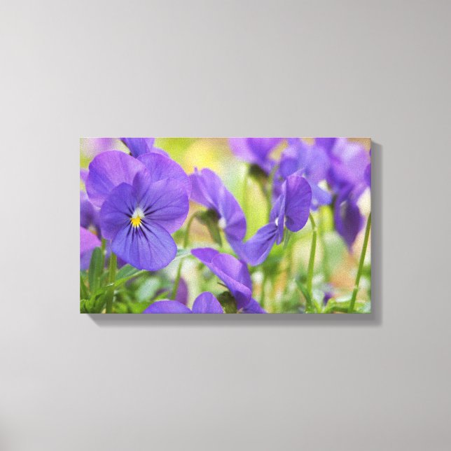Lila Pansy Canvas Art (Framsida)