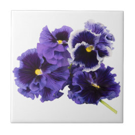 Lila Pansy Ceramic Tile Kakelplatta