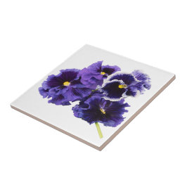 Lila Pansy Ceramic Tile Kakelplatta