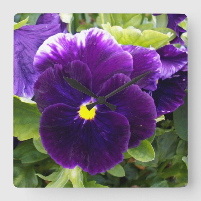 Lila Pansy Delight Fyrkantig Klocka (Framsida)