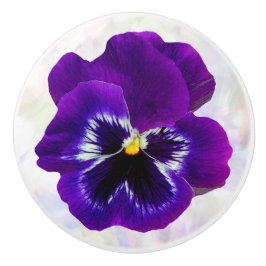 Lila Pansy Flower Knopp