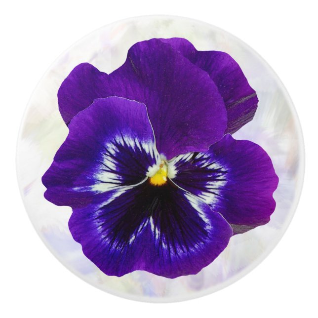 Lila Pansy Flower Knopp (Framsidan)