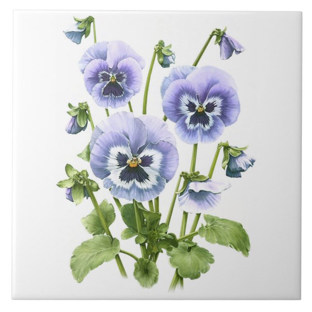 Lila Pansy Flowers Botanical Art Kakelplatta (Framsidan)