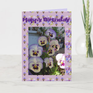 Lila Pansy Pansies Flower Blommigt Photo Art Card Kort