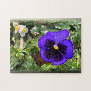 Lila Pansy Pussel