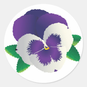 Lila Pansy Sticker Runt Klistermärke