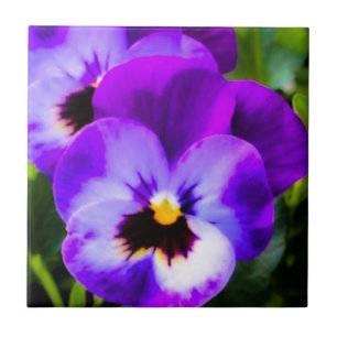Lila Pansy Tile Kakelplatta