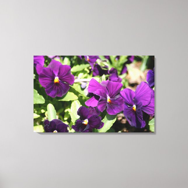 Lila Pansy Wrapped Art Canvas (Framsida)