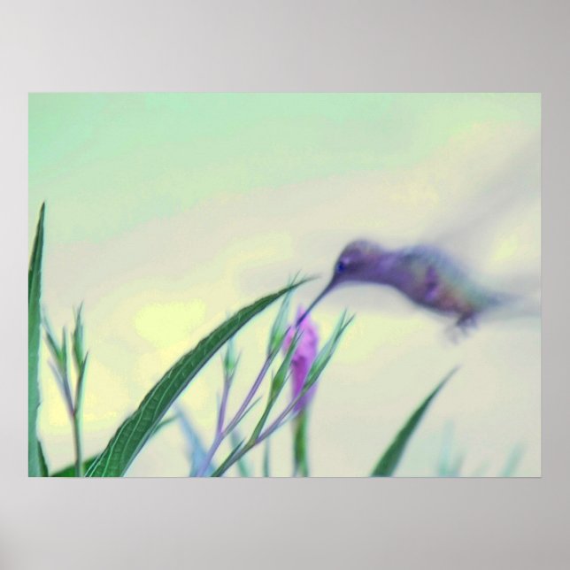 Lila Paradise Poster (Framsidan)