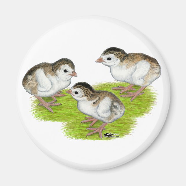 Lila pärlhönsungar magnet (Framsidan)