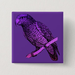 Lila Parrot Knapp