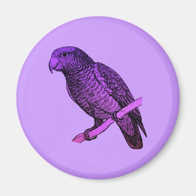 Lila Parrot Magnet (Framsidan)