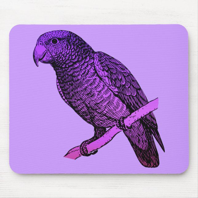 Lila Parrot Musmatta (Framsidan)