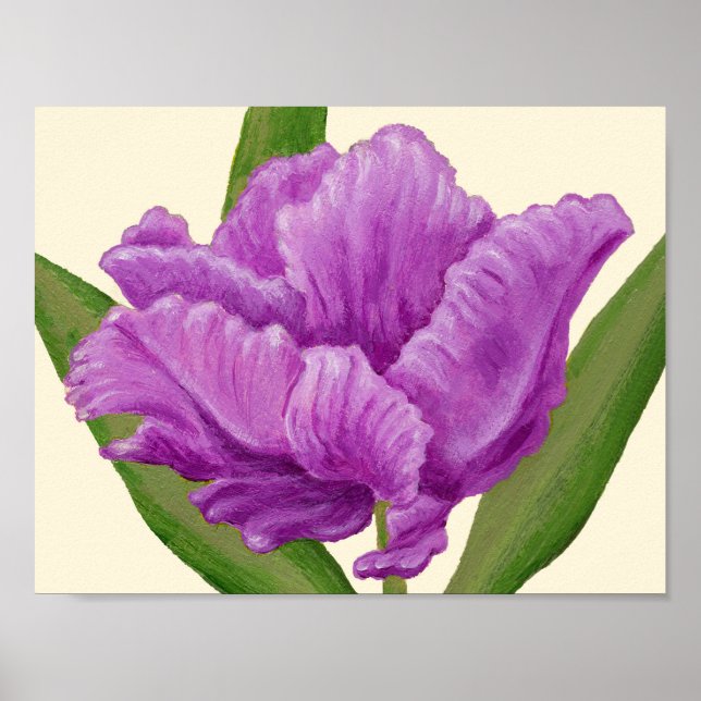 Lila Parrot Tulip-teckning. Poster (Framsidan)