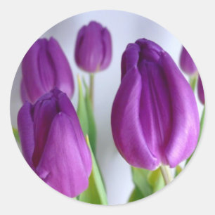Lila Påsk Tulips Stickers Runt Klistermärke