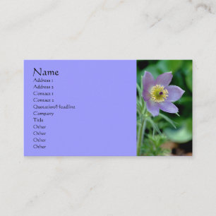Lila Pasque Blomsterfotografi Affärskort Visitkort