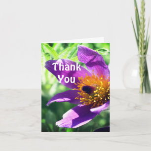 Lila Pasque Flower Tack-kort Tack Kort