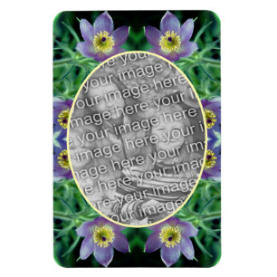 Lila Pasque Flowers Skapar ditt eget foto Magnet