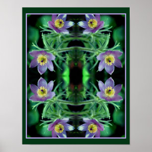 Lila Pasque Vår blommor Abstrakt Poster