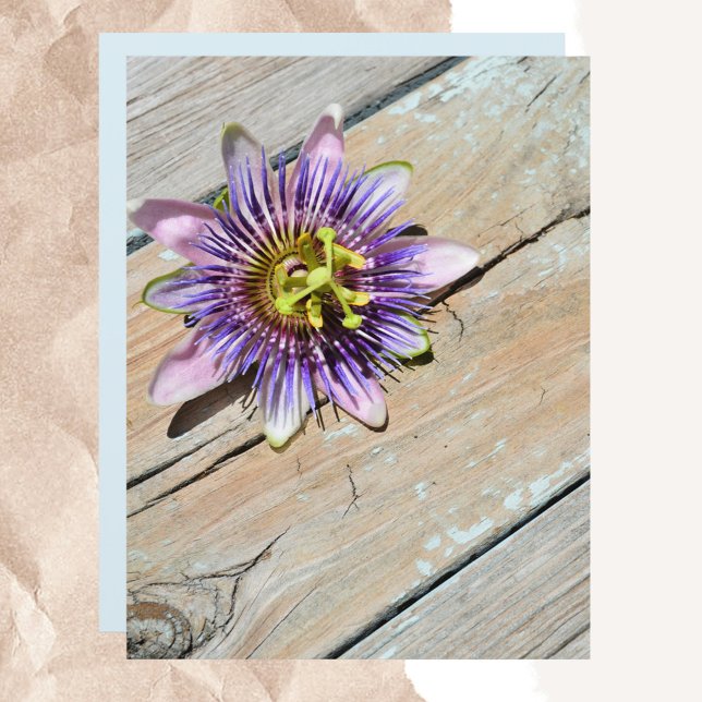 Lila Passiflora Blomma Väderbiten Rustikt Papper (Skapare uppladdad)