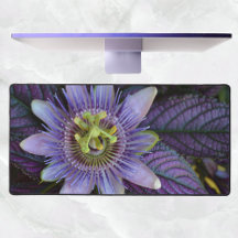 Lila Passiflora botaniskt fotografi