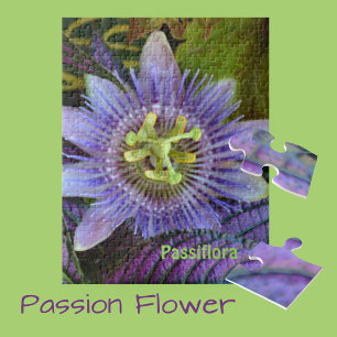 Lila Passiflora och Persian Shield Botanical Pussel