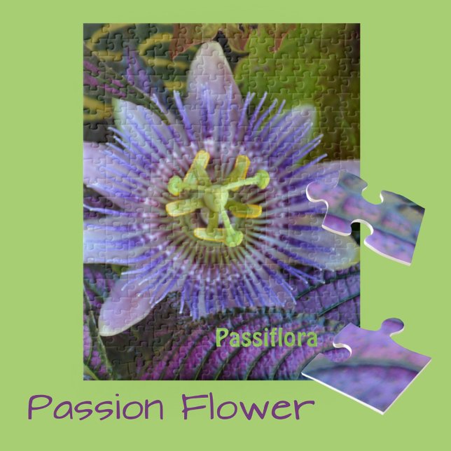 Lila Passiflora och Persian Shield Botanical Pussel (Skapare uppladdad)