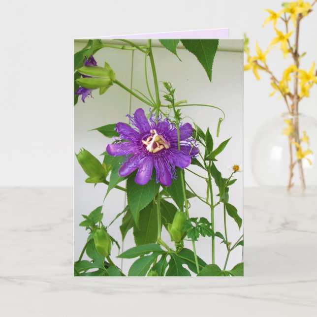 Lila Passion Flower - Porträtt - Greeting Card Kort (Gul blomma)
