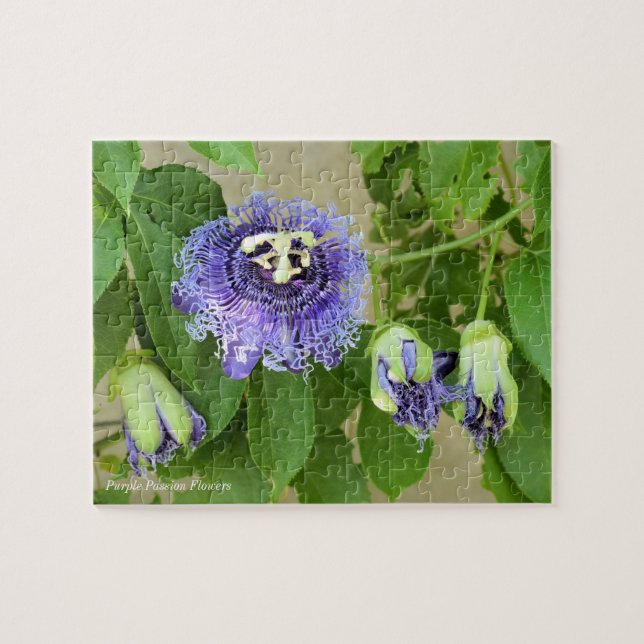 Lila Passion Flowers Jigszle Puzzle Game Pussel (Horisontell)