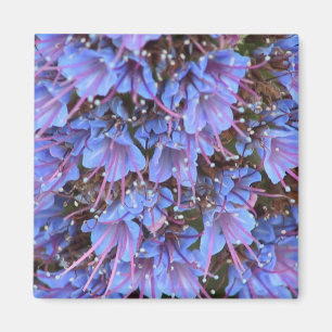 Lila Passion Magnet