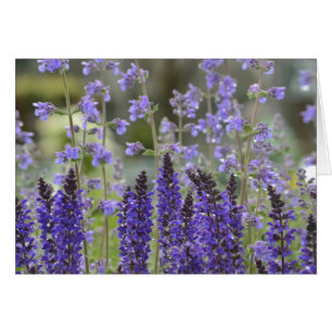 Lila Passion Notecard Hälsningskort