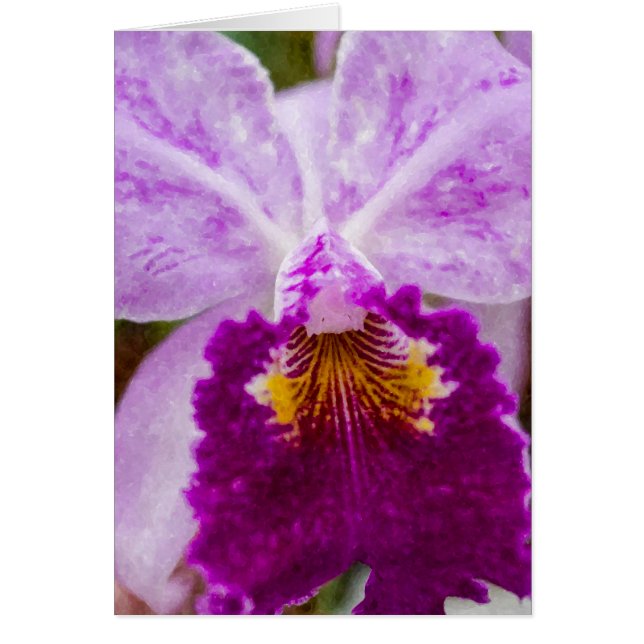 Lila Passion Orchid OBS Kort (Framsidan)