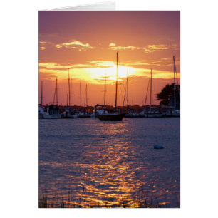 Lila Passion Sunset OBS Kort