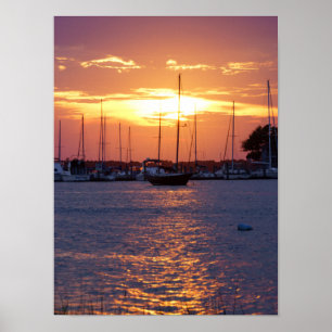 Lila Passion Sunset Poster