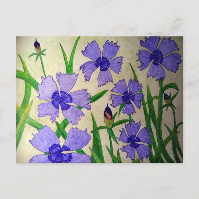 Lila Passion Vykort (Framsida)