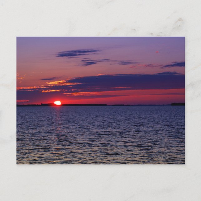 Lila Passion Vykort (Framsida)