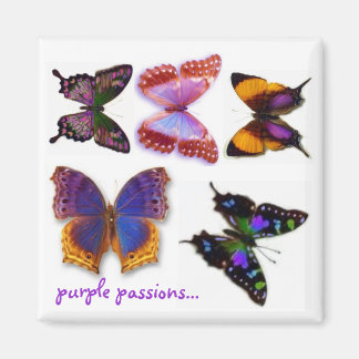 Lila Passions Butterflies Magnet by S Ambrose