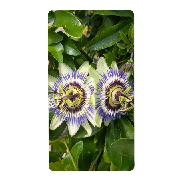 Lila Passionsblomma Etikett Fraktsedel (Framsidan)