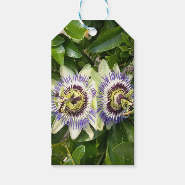 Lila Passionsblomma Presentkort Presentetikett (Framsidan)