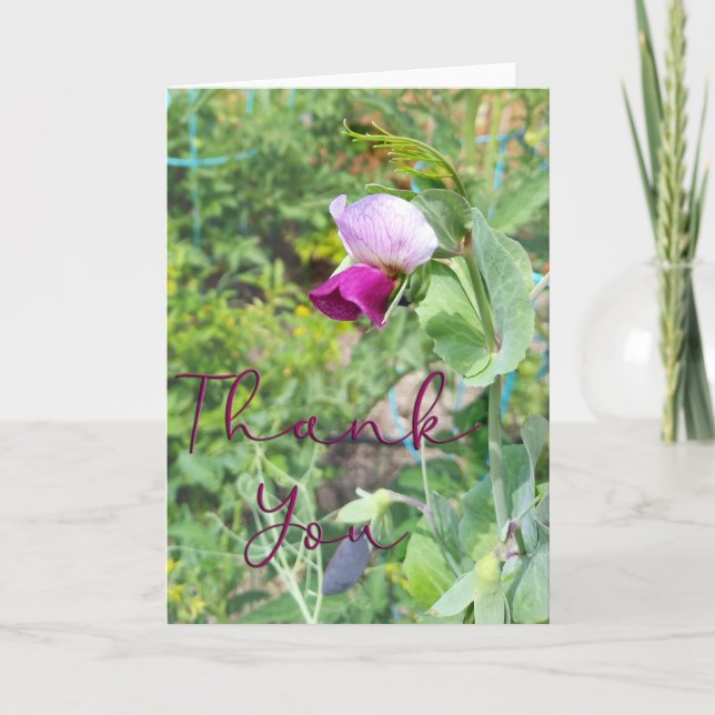 Lila Pea Flower Photo - tackkort (Framsida)