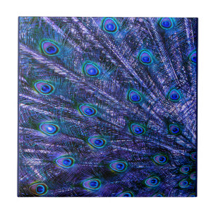 Lila Peacock Feathers Baby Blanket Kakelplatta