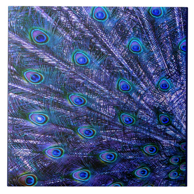 Lila Peacock Feathers Baby Blanket Kakelplatta (Framsidan)