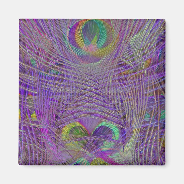 Lila Peacock Feathers Magnet (Framsidan)