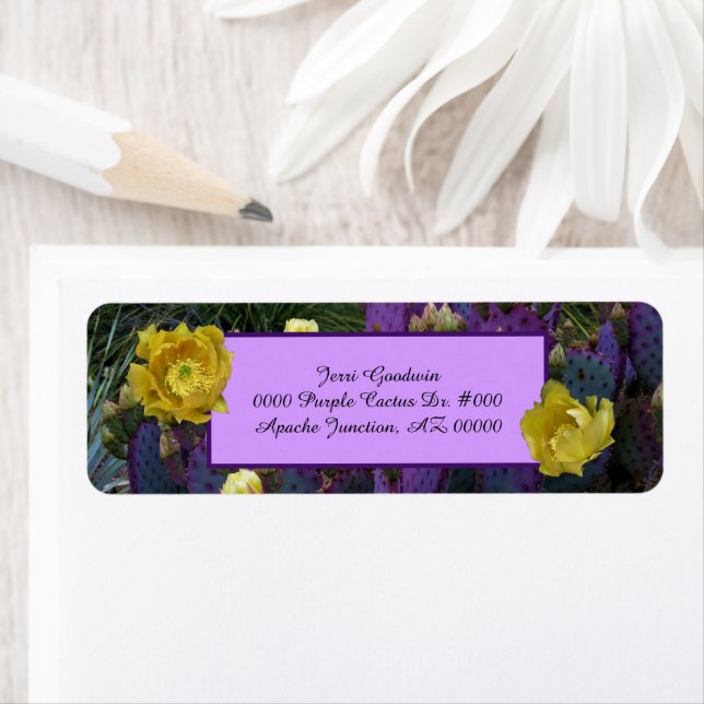Lila Pear Cactus med Gula blommor Returadress Etikett (Insitu)