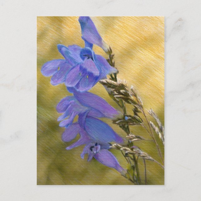 Lila Penstemon Mixed Media Teckning Vykort (Framsida)